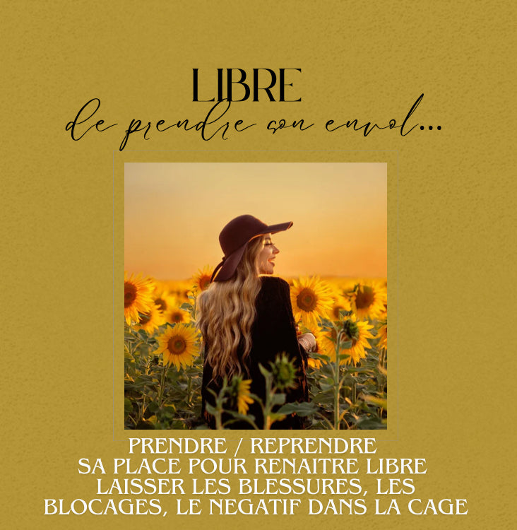 Programme 12 séances de ton coaching personnalisé avec des prestations pensées pour toi et un programme à suivre en plus des séances !